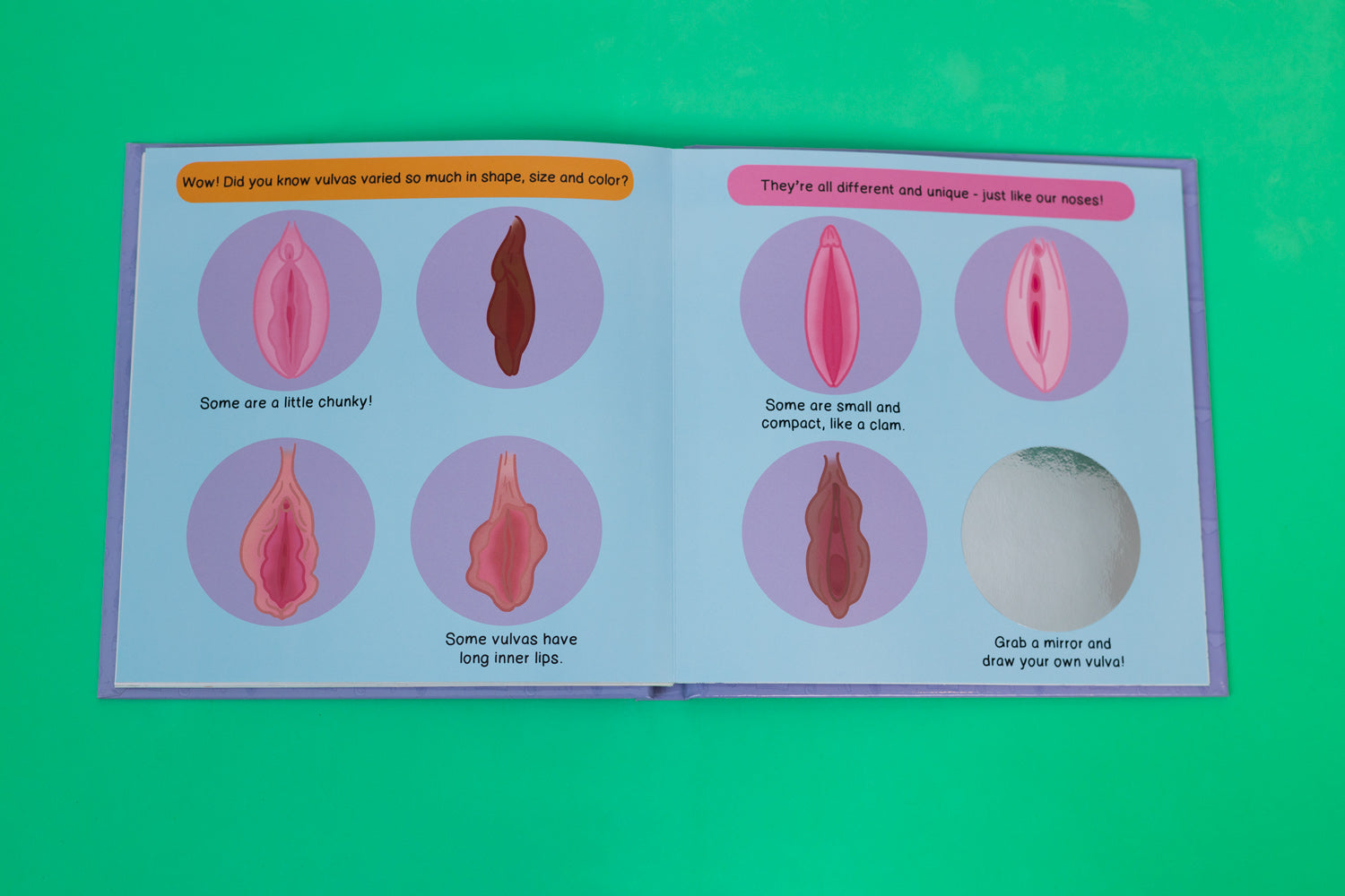 Vaginas and Periods 101  A Pop-Up Book –